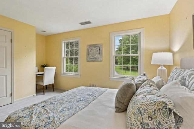 bedroom featuring multiple windows, carpet flooring, and baseboards