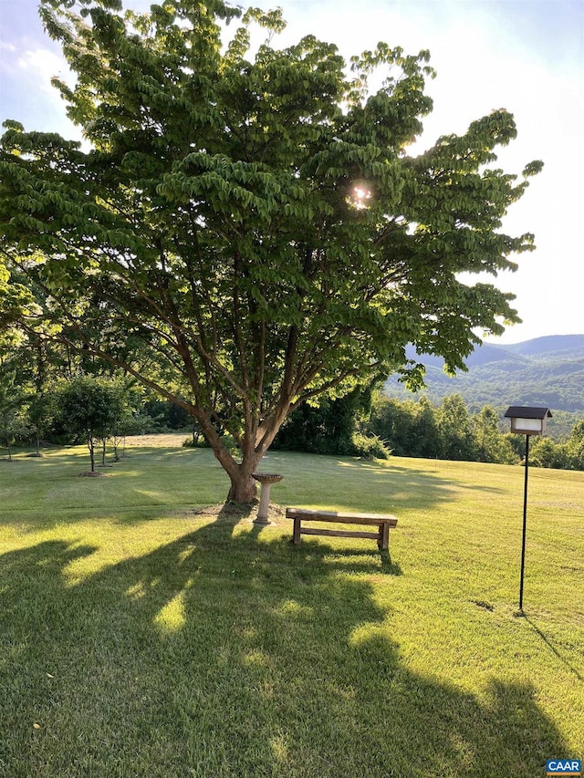 3716 Etlan Rd, Etlan, VA 22719 - view of community featuring a lawn