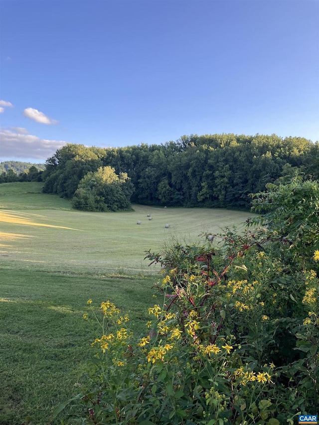 3716 Etlan Rd, Etlan, VA 22719 - view of grassy yard