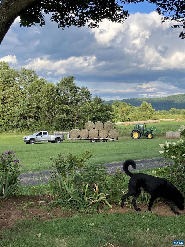 3716 Etlan Rd, Etlan, VA 22719 - view of grassy yard