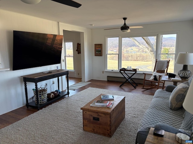 3716 Etlan Rd, Etlan, VA 22719 - living room featuring a ceiling fan, wood finished floors, healthy amount of natural light, and a baseboard radiator