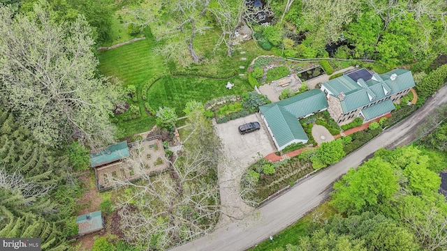 aerial view