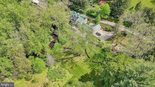 aerial view