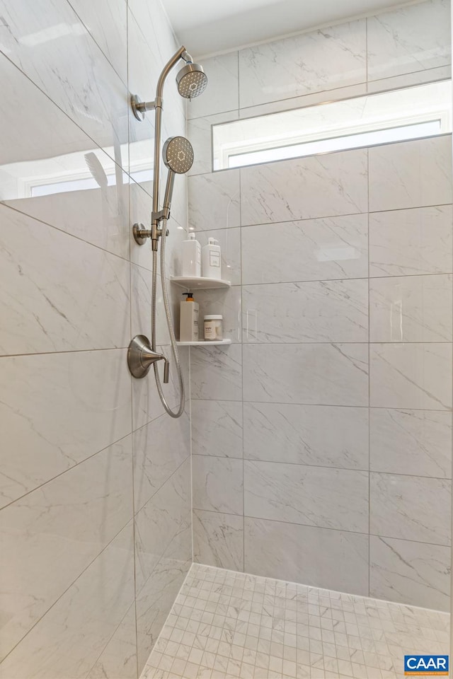 13A Sablewood Dr, Charlottesville, VA 22911 - full bath with tiled shower