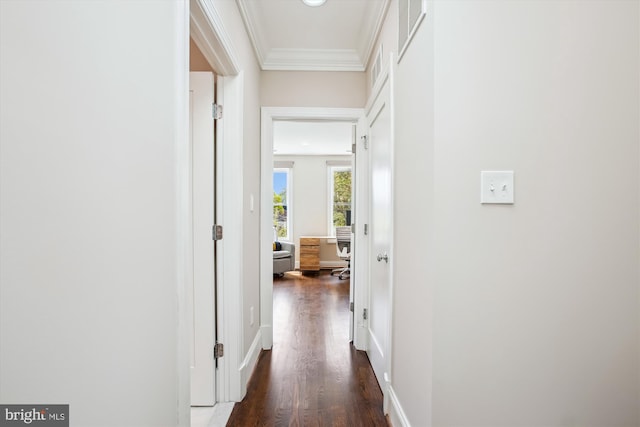 hallway with baseboards, visible vents, wood finished floors, and crown molding
