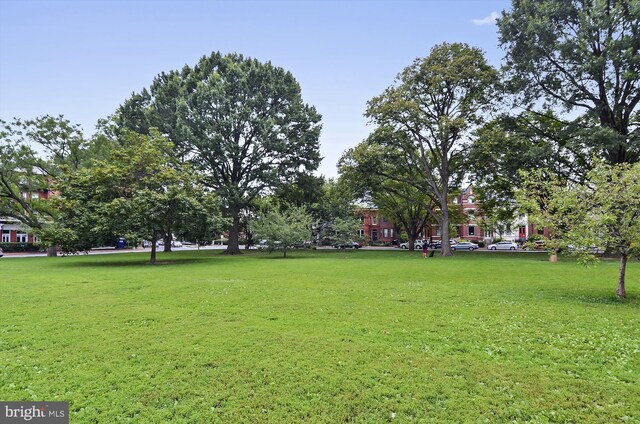 view of community with a lawn
