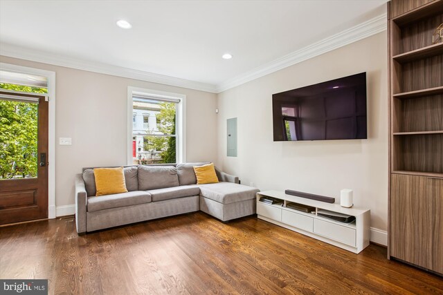 living room with baseboards, a wealth of natural light, dark wood-style flooring, and crown molding