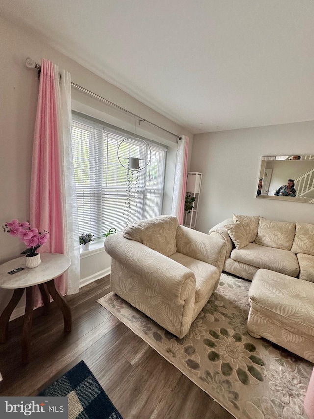 living room with wood finished floors