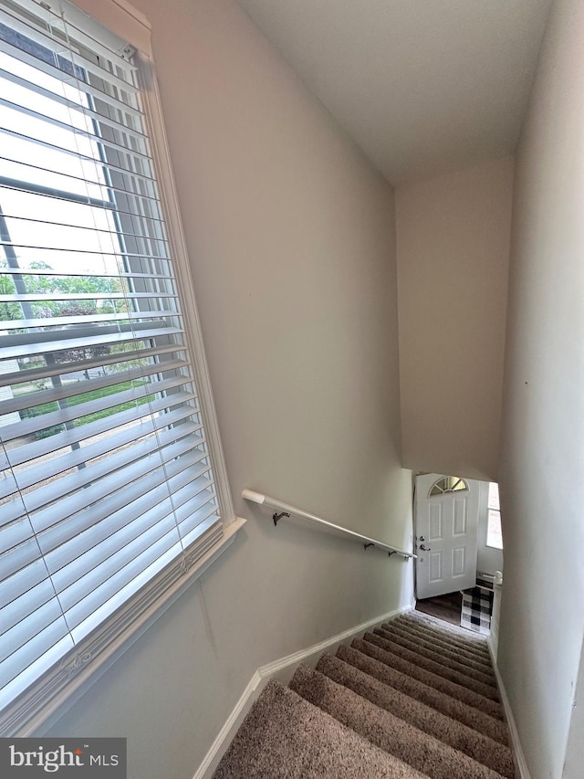 stairs with baseboards, a healthy amount of sunlight, and carpet