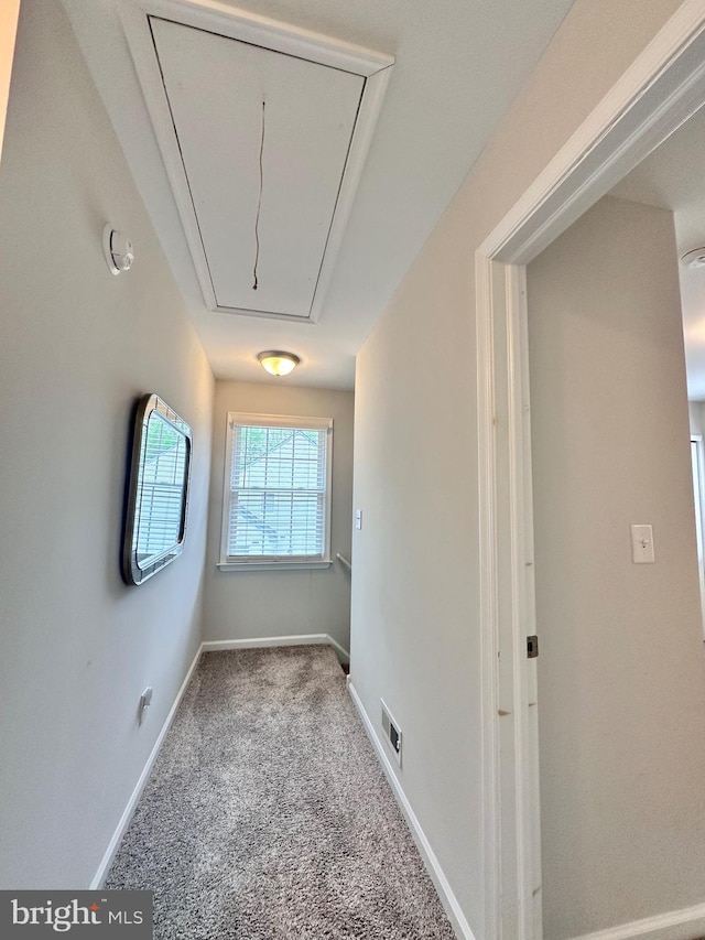 corridor with attic access, visible vents, carpet, and baseboards