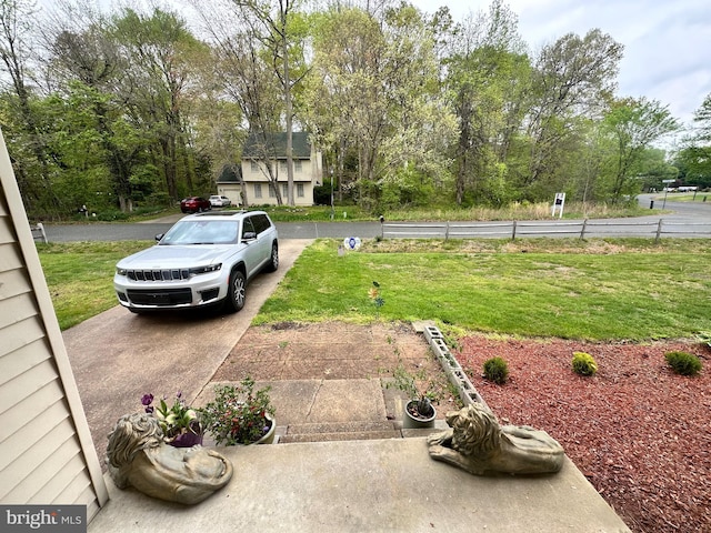 view of yard featuring concrete driveway