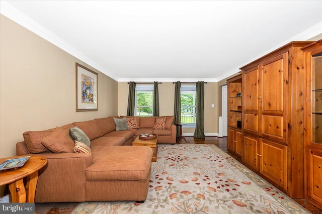 8412 Dasher Ct, Gaithersburg, MD 20882 - living area featuring ornamental molding