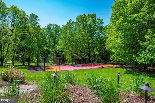 8412 Dasher Ct, Gaithersburg, MD 20882 - surrounding community featuring a yard