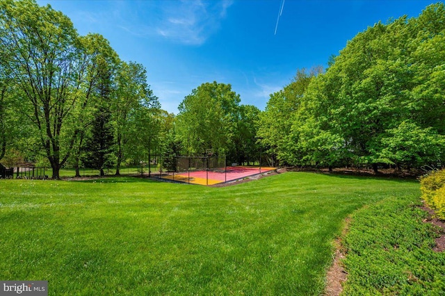 8412 Dasher Ct, Gaithersburg, MD 20882 - view of yard