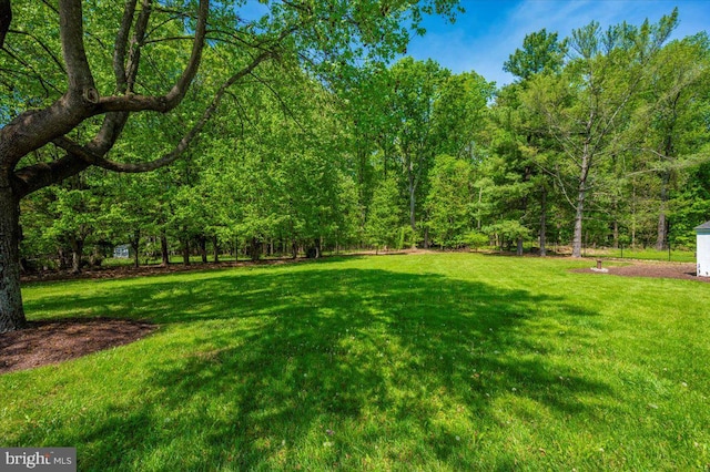 8412 Dasher Ct, Gaithersburg, MD 20882 - view of green lawn with a view of trees