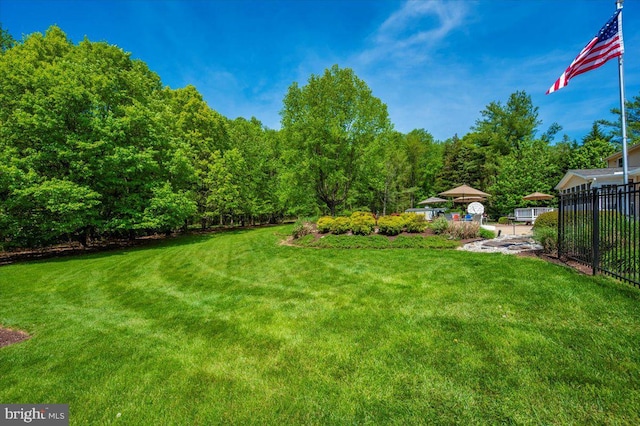 8412 Dasher Ct, Gaithersburg, MD 20882 - view of yard