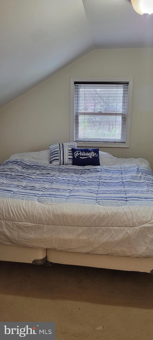 bedroom featuring vaulted ceiling