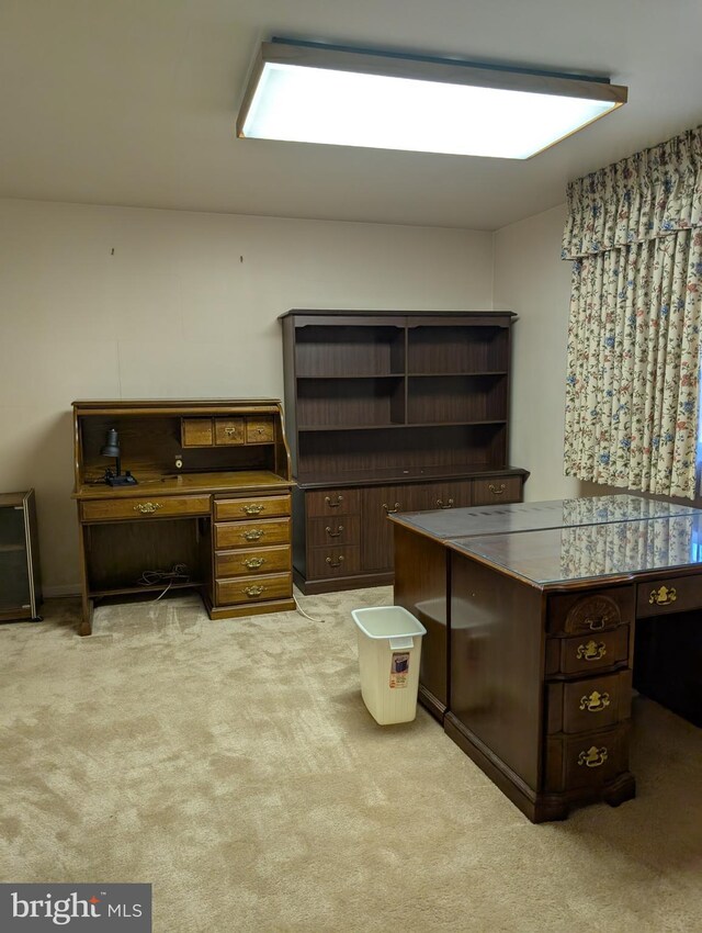 home office with light carpet