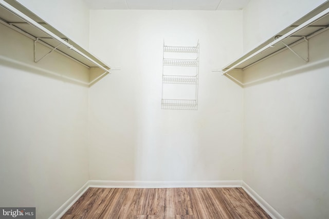 walk in closet with wood finished floors