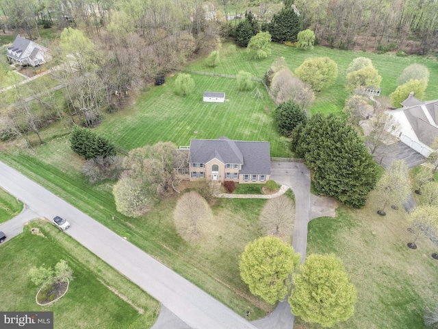bird's eye view