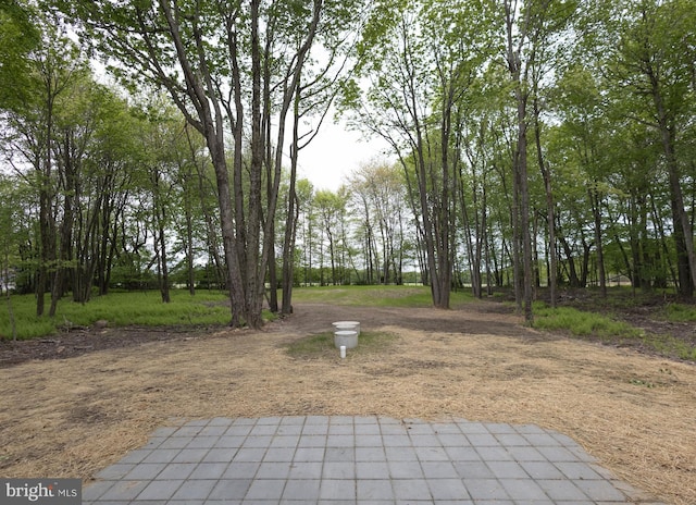 21 Piute Trl, Albrightsville, PA 18210 - view of yard