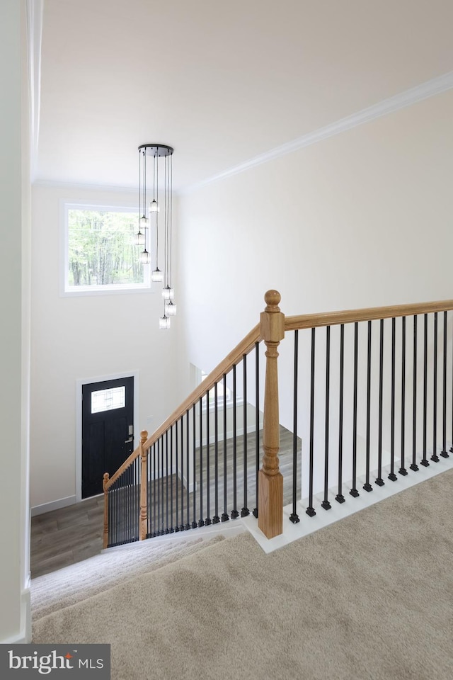 21 Piute Trl, Albrightsville, PA 18210 - stairs with carpet flooring, ornamental molding, and baseboards