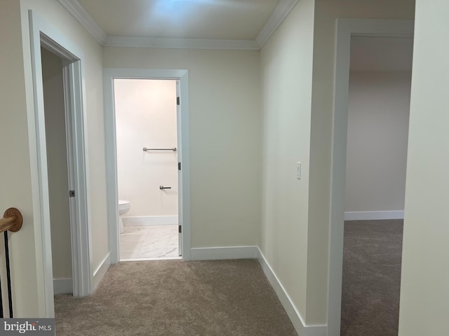 21 Piute Trl, Albrightsville, PA 18210 - hall with carpet flooring, crown molding, and baseboards