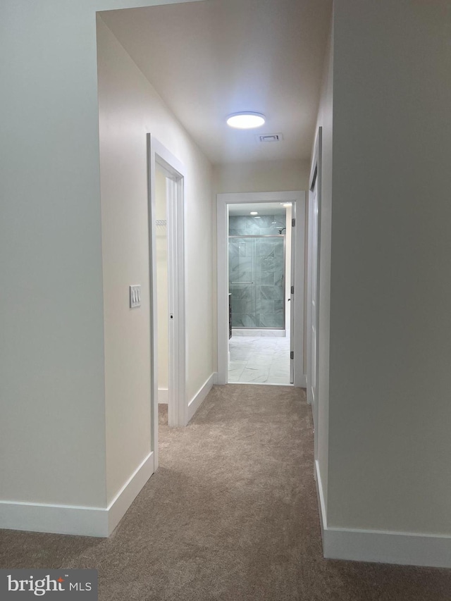 21 Piute Trl, Albrightsville, PA 18210 - hallway with carpet and baseboards