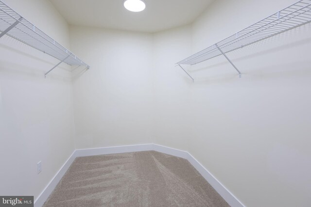 21 Piute Trl, Albrightsville, PA 18210 - spacious closet featuring carpet floors