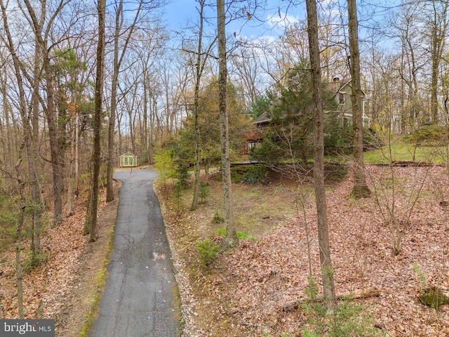 view of road featuring a forest view and aphalt driveway