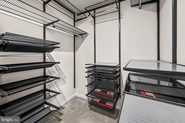 walk in closet with carpet