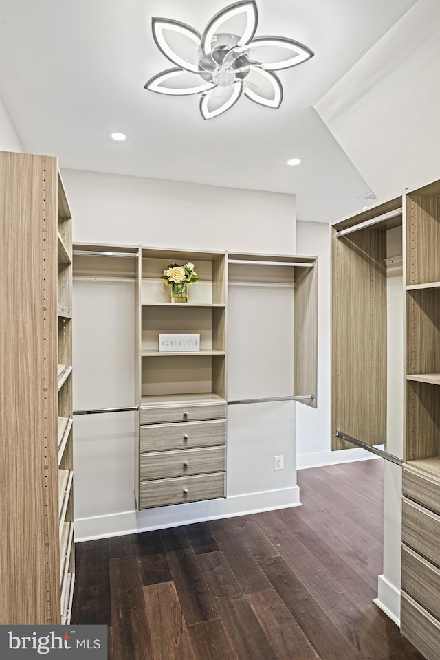 spacious closet with dark wood finished floors and a ceiling fan