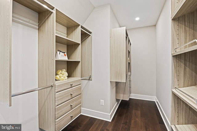 walk in closet featuring dark wood-type flooring
