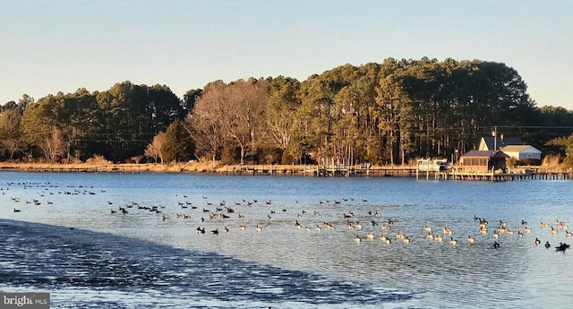 24171 Adelaide St, Parksley, VA 23421 - water view