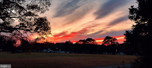 24171 Adelaide St, Parksley, VA 23421 - view of nature at dusk
