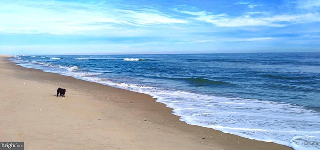 24171 Adelaide St, Parksley, VA 23421 - water view featuring a beach view