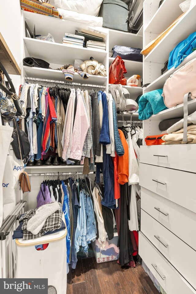 spacious closet featuring wood finished floors