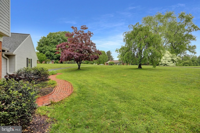 3228 Canterbury Ln, Fallston, MD 21047 - view of green lawn