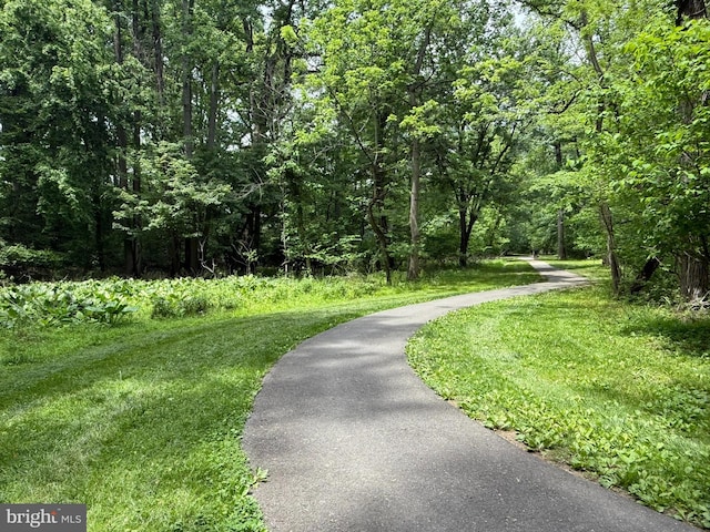 5338 Lightning View Rd, Columbia, MD 21045 - view of community with a view of trees