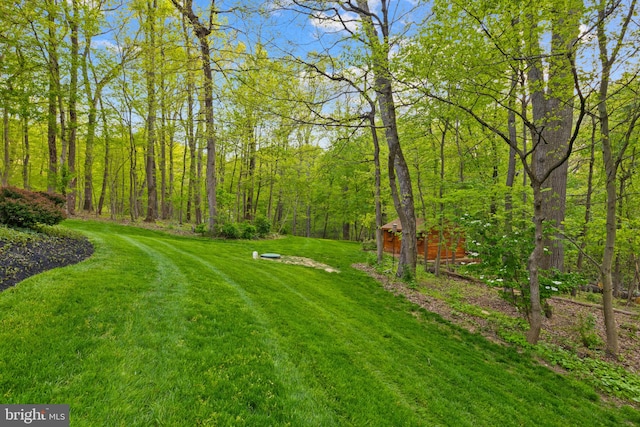 view of yard featuring a view of trees