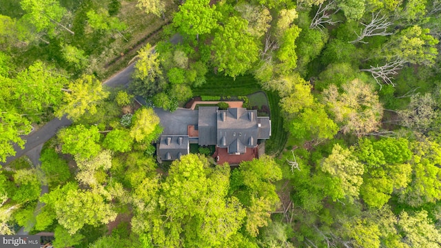 drone / aerial view