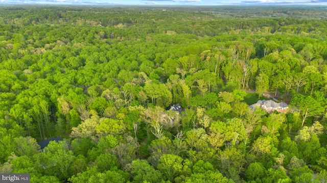 birds eye view of property with a forest view