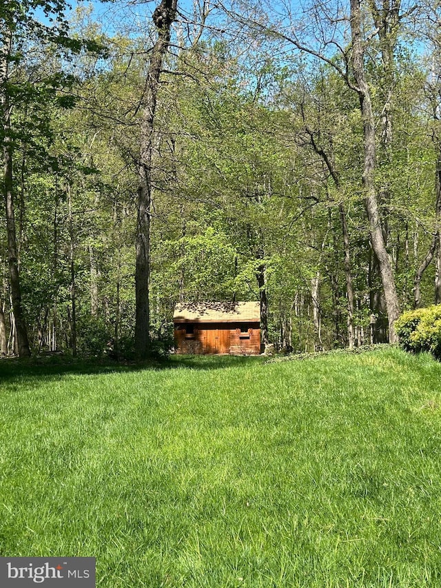 view of yard with a forest view