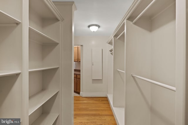 spacious closet featuring light wood-style floors