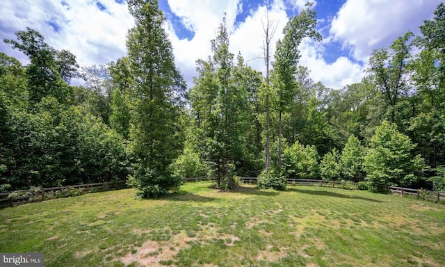 312 Richards Ferry Rd, Fredericksburg, VA 22406 - view of yard