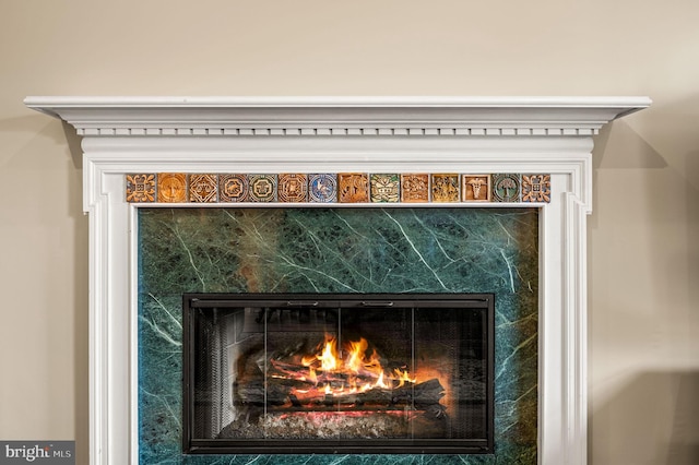 details featuring a high end fireplace