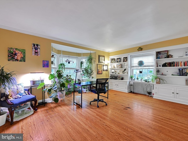 341 Creston Rd, York, PA 17403 - office space featuring light wood-type flooring, radiator heating unit, and ornamental molding