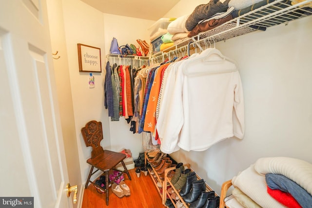 13470 Harrison Landing Rd, Princess Anne, MD 21853 - walk in closet with wood finished floors