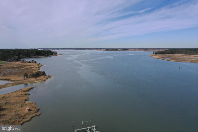 13470 Harrison Landing Rd, Princess Anne, MD 21853 - property view of water