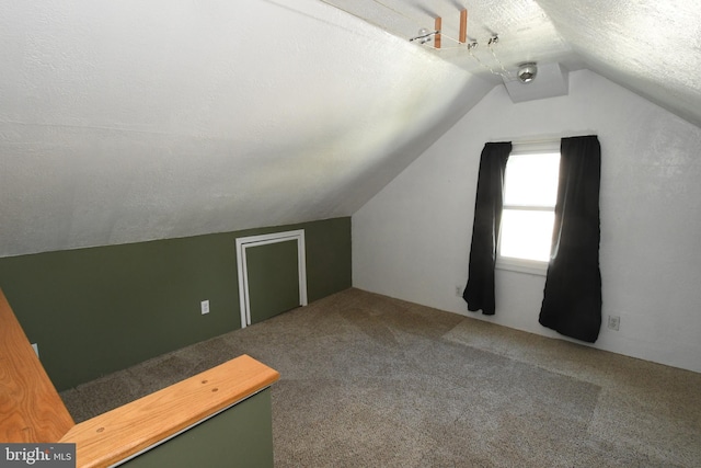 713 Cooper St, Florence, NJ 08518 - additional living space with a textured ceiling, carpet flooring, and vaulted ceiling